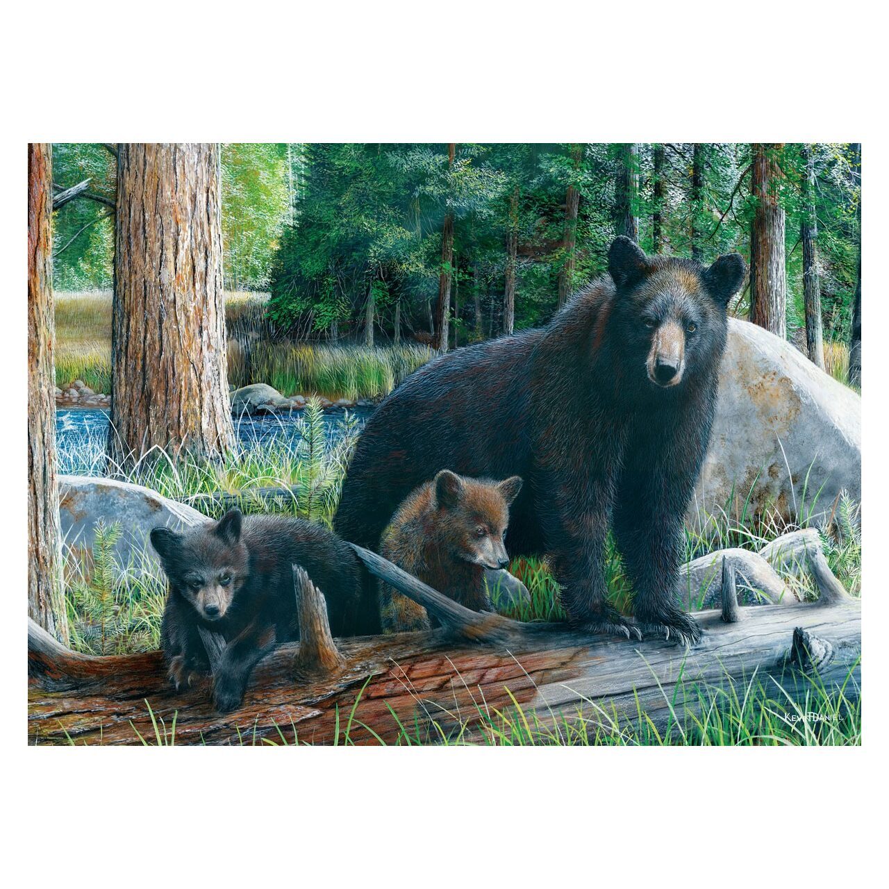 Eurographics Puzzle Legespiel New Discoveries Daniel 1000 Teile 60793