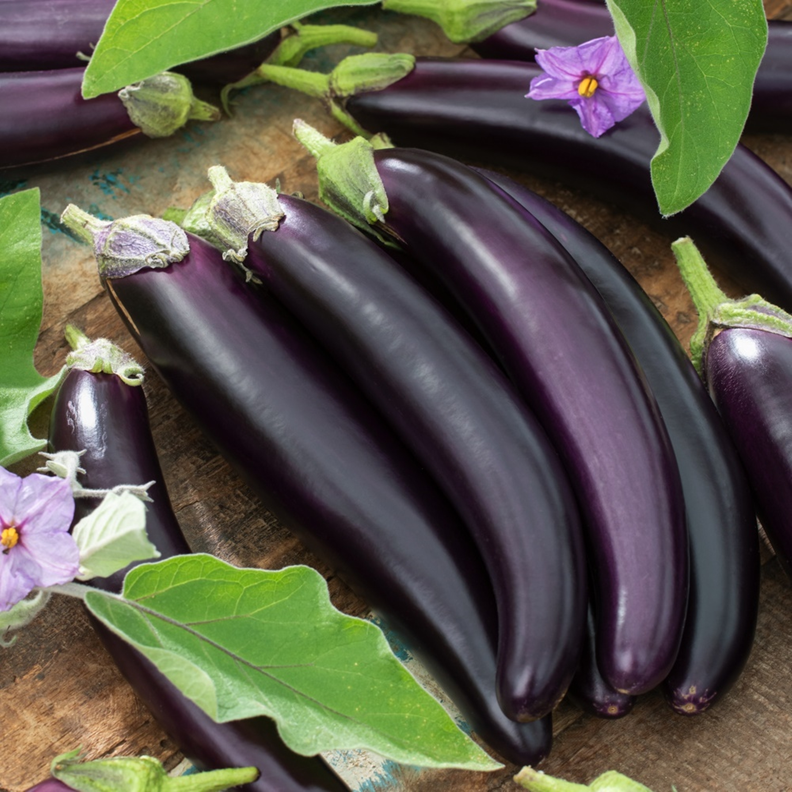 Benex Aubergine Gobi Fruchtsamen 1g