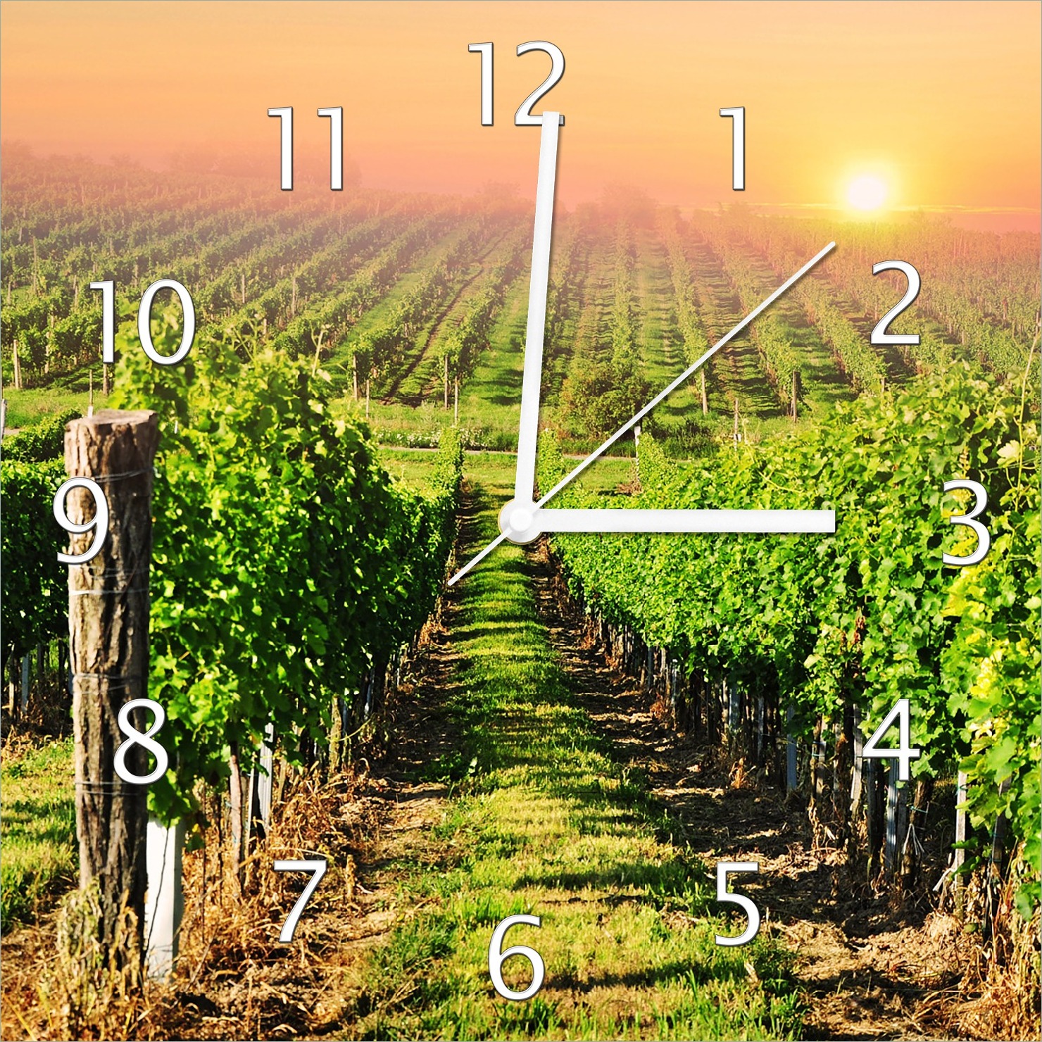 Wallario Design Wanduhr Weinberg mit untergehender Sonne aus Echtglas, Größe 30 x 30 cm guk0266-3030