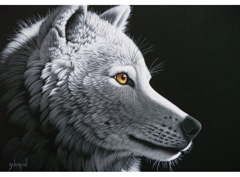 GRAFIKA GRAFIK-Puzzle Wolf light 1000 dlks