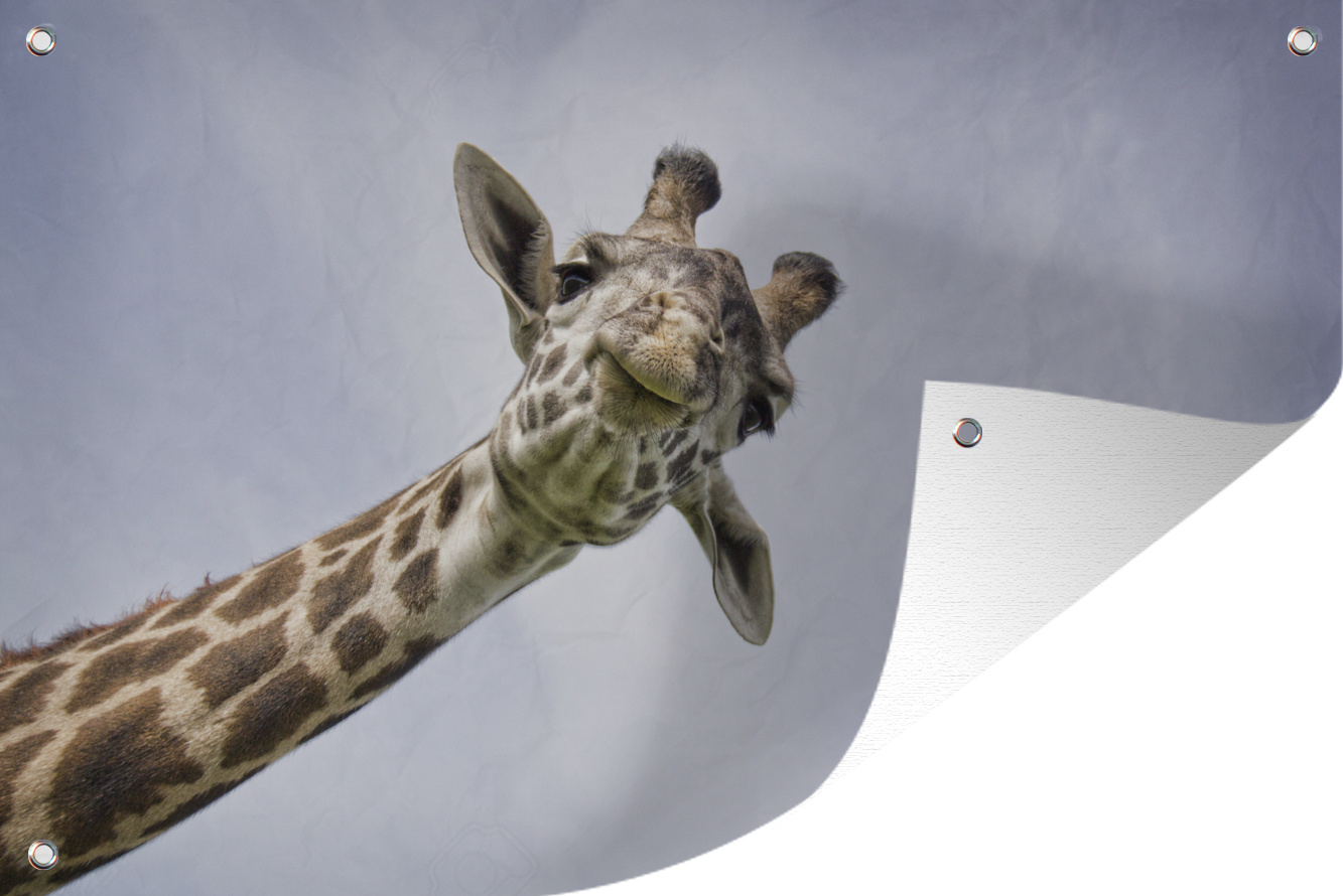 MuchoWow® 133|75807192