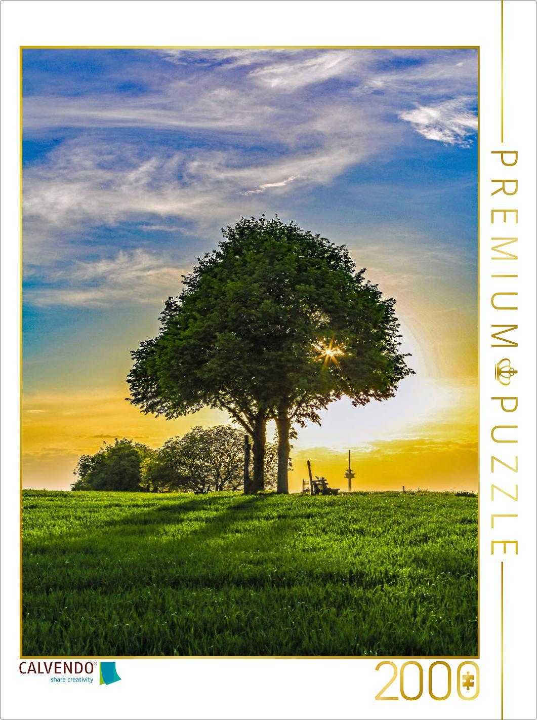 CALVENDO Puzzle Stupfericher Kulturwanderpfad | 2000 Teile Lege-Größe 90 × 67 cm Foto-Puzzle für glückliche Stunden
