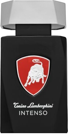 Tonino Lamborghini Intenso toaletná voda pre mužov 75 ml