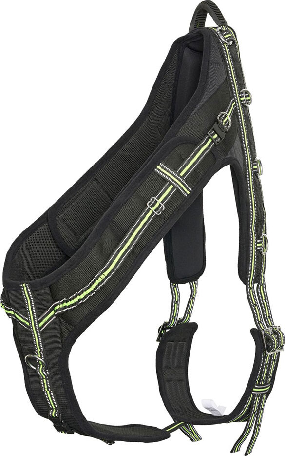 Imperial Riding Nova Angriffsgurt Cob Cob LO40320001-9046-C/S