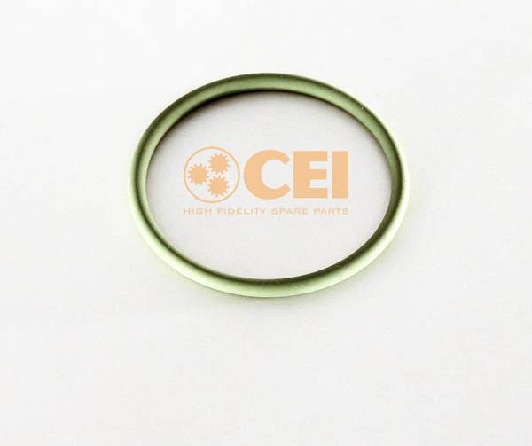 CEI O-Ring Scania P G R T F K N | 349353