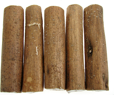 SELVA Holundermark-Stangen