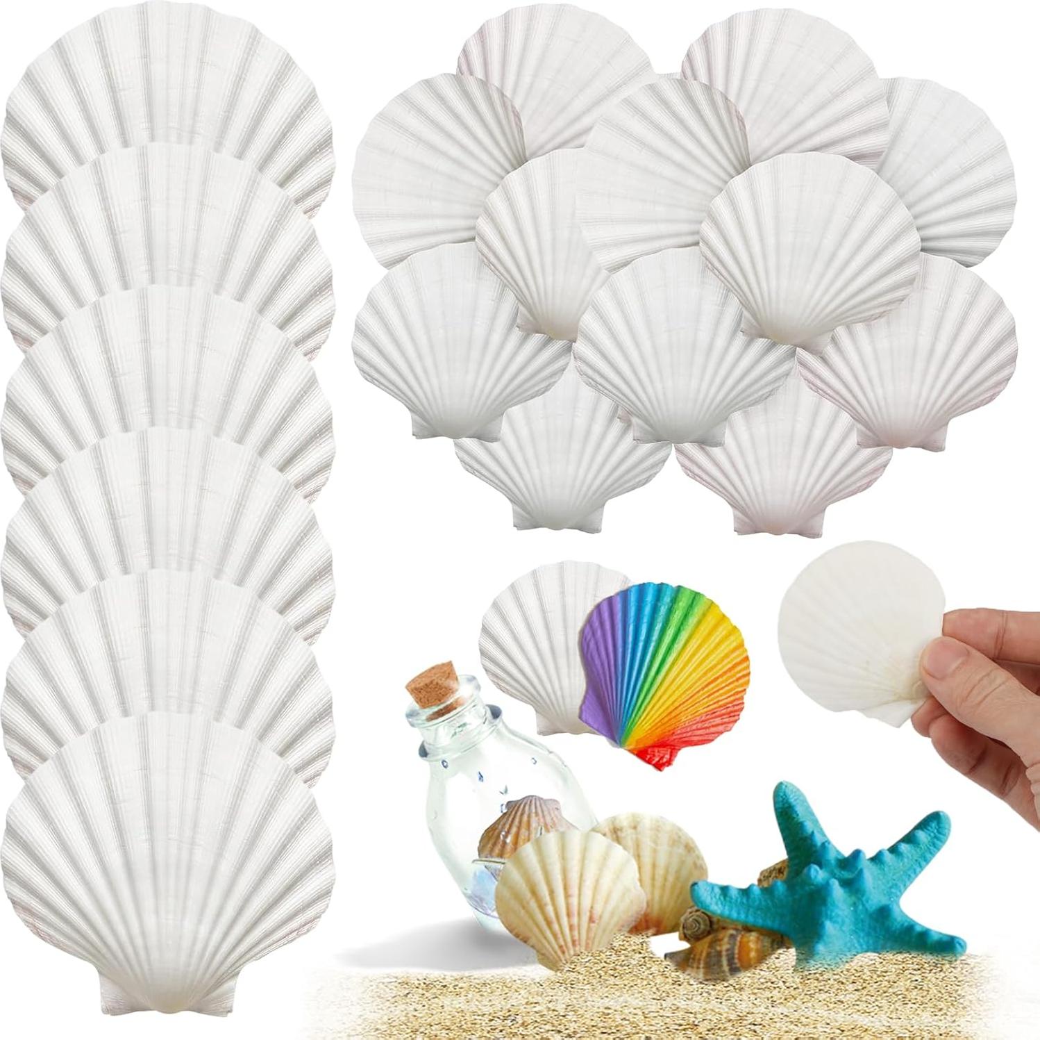 Markenlos 25 Stück Weiße Jakobsmuscheln 5-7 cm - Große Natürliche Muscheln für DIY Bastelarbeiten und Hochzeitsdekoration