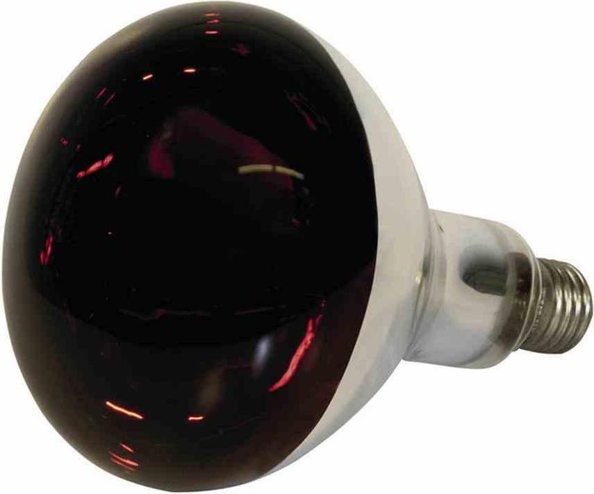 Kerbl Infrarot-Wärmelampe 250W – Hartglas, Klar, E27, Spritzwassergeschützt – Für Die Tieraufzucht Von Schweinen & Geflügel