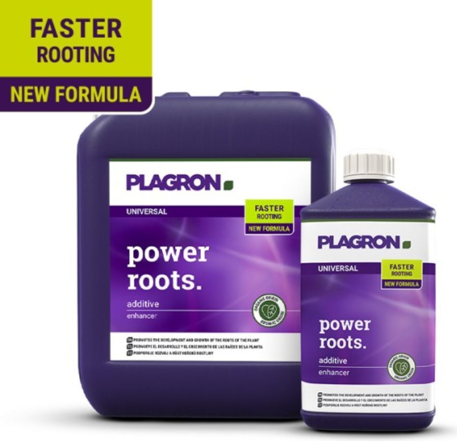 Plagron Power Roots 1L - Starke Wurzelentwicklung | Flasche (1 l) A30160