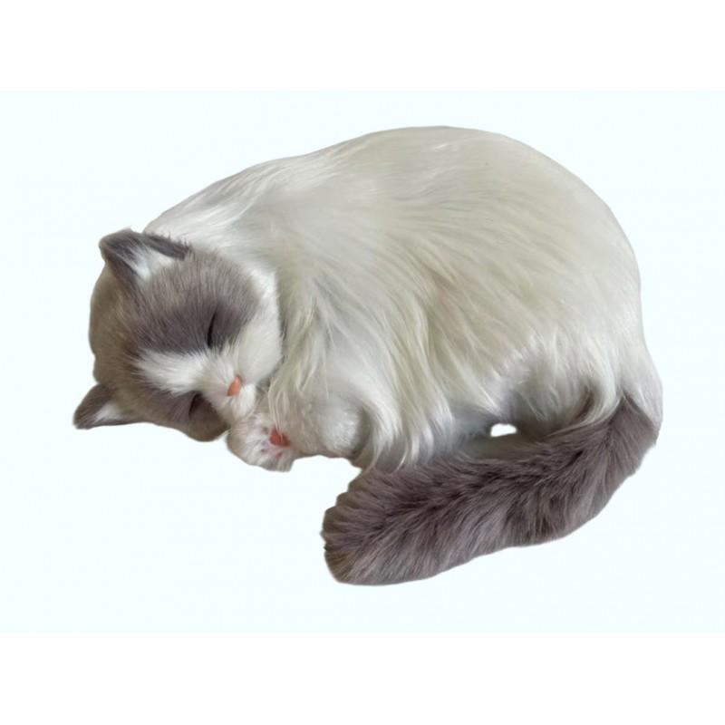 Rettori Perfect Petzzz 92646 Ragdoll-Kätzchen
