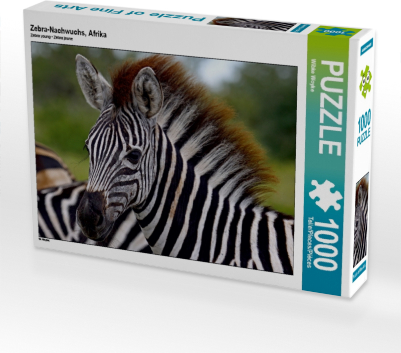 Calvendo Zebra-Nachwuchs, Afrika 1000 Teile Puzzle quer 640x480mm, Woyke Wibke; 7368940