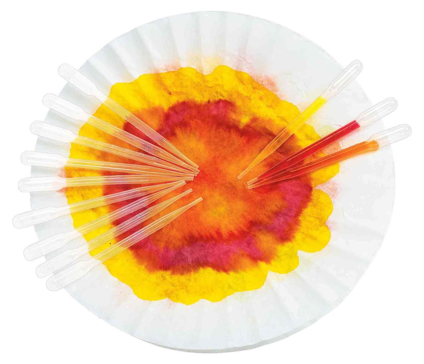 Colorations Haarfärbemittel – Tropfer 15 cm, 12 Stück CH12SSD