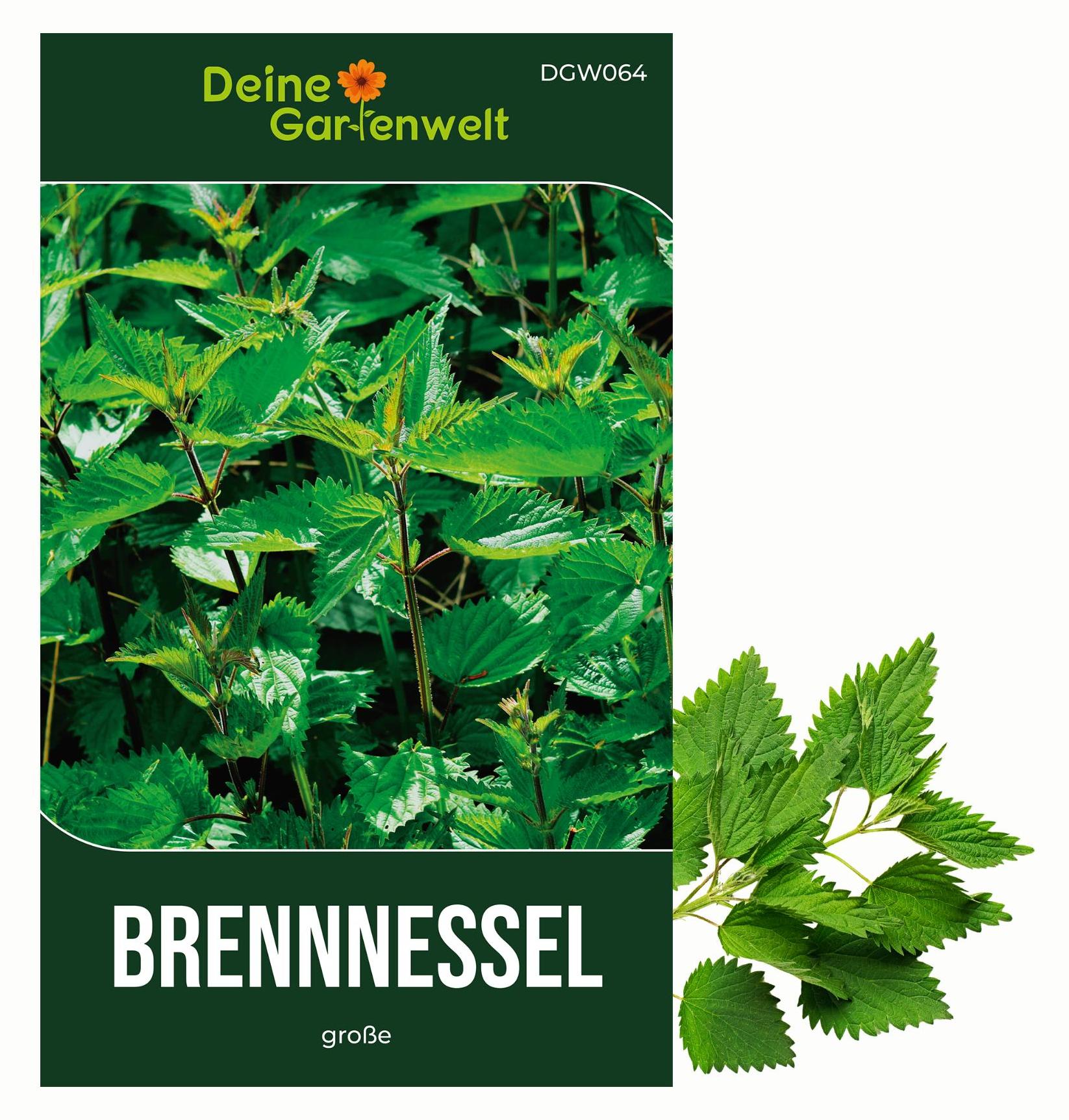 bio getreide saatgut BIO Saatgut Getreide Waldstaudenroggen  Biogartenladen
