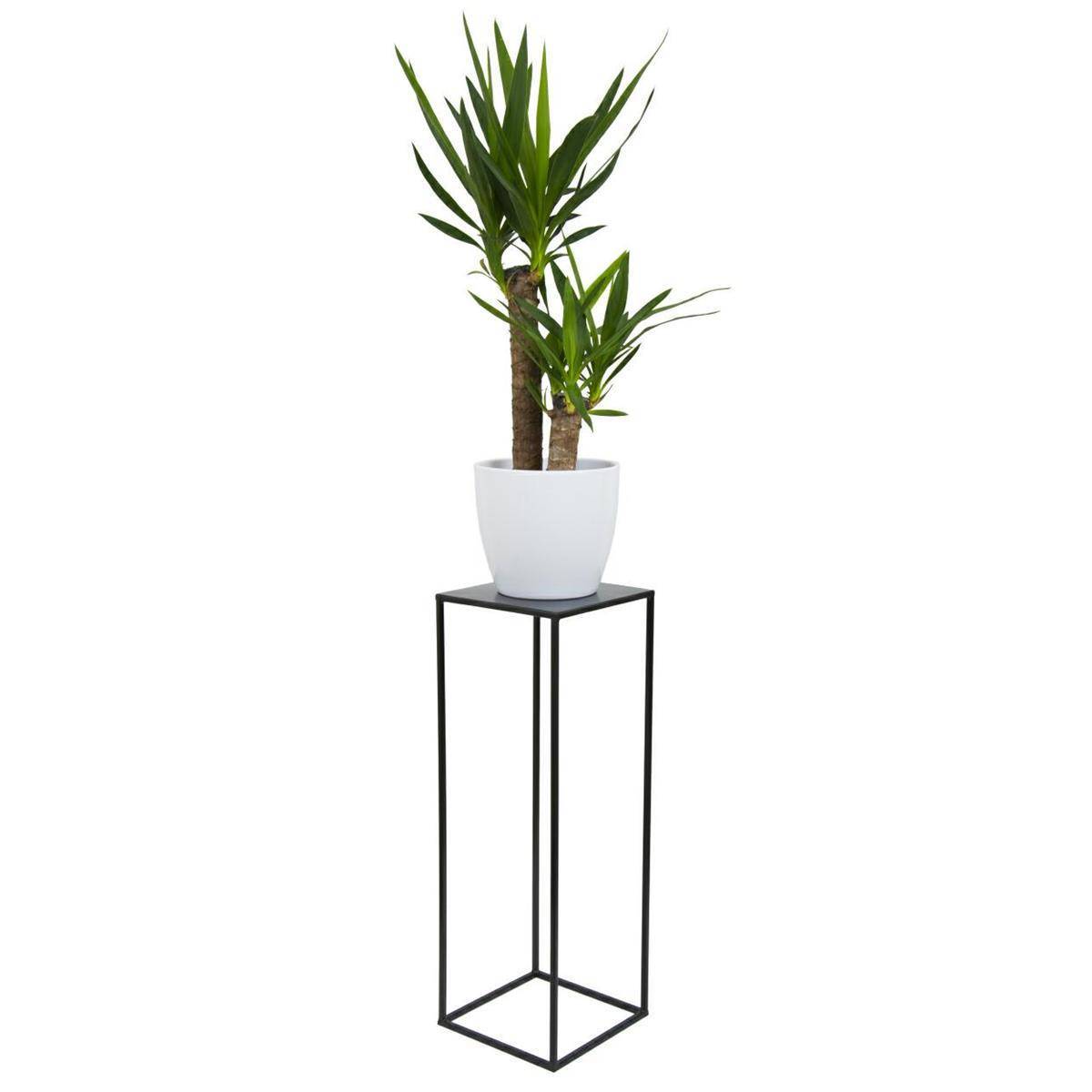 HowHomely Support De Fleurs Moderne En Métal 68 Cm - Pot Blanc Rond Avec Pieds Dorés Pour Décoration Intérieure