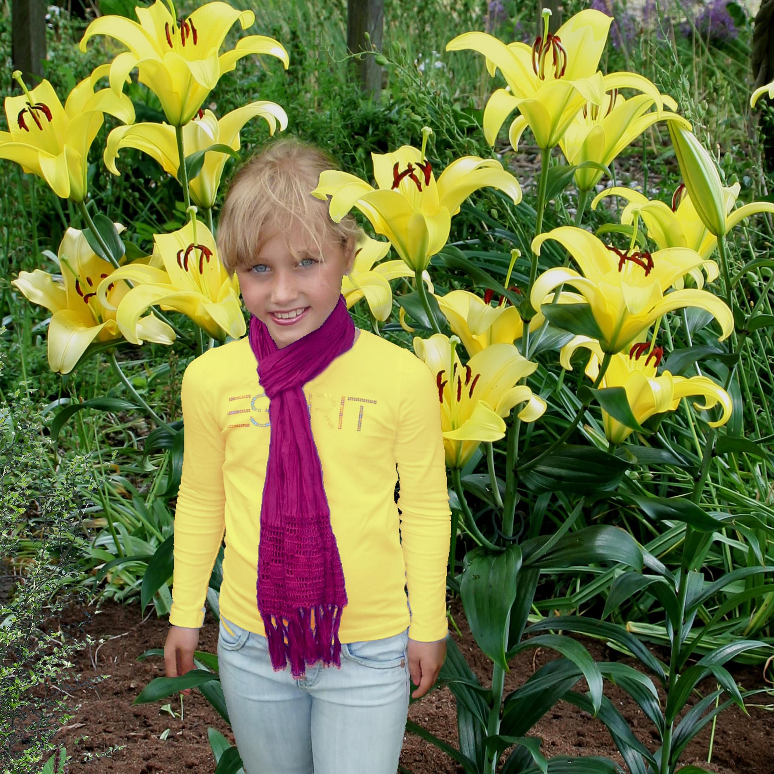 Benex Baumlilie Lilium Hybride Lilien Zwiebeln Baumlilie Riesenlilie Yelloween 1 St.