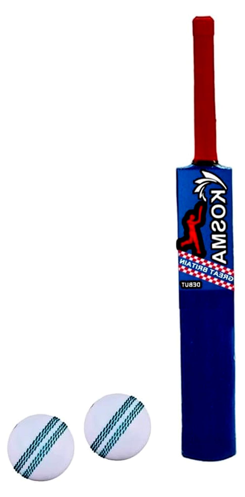 Markenlos Cricketschläger mit Bällen und Tragetasche | Cricketschläger Nr. 5 (76,2 cm) mit 2 x Cricket-Übungsbällen und Tragetasche | Cricket-Coaching-Ausrüstung | Rot & Königsblau