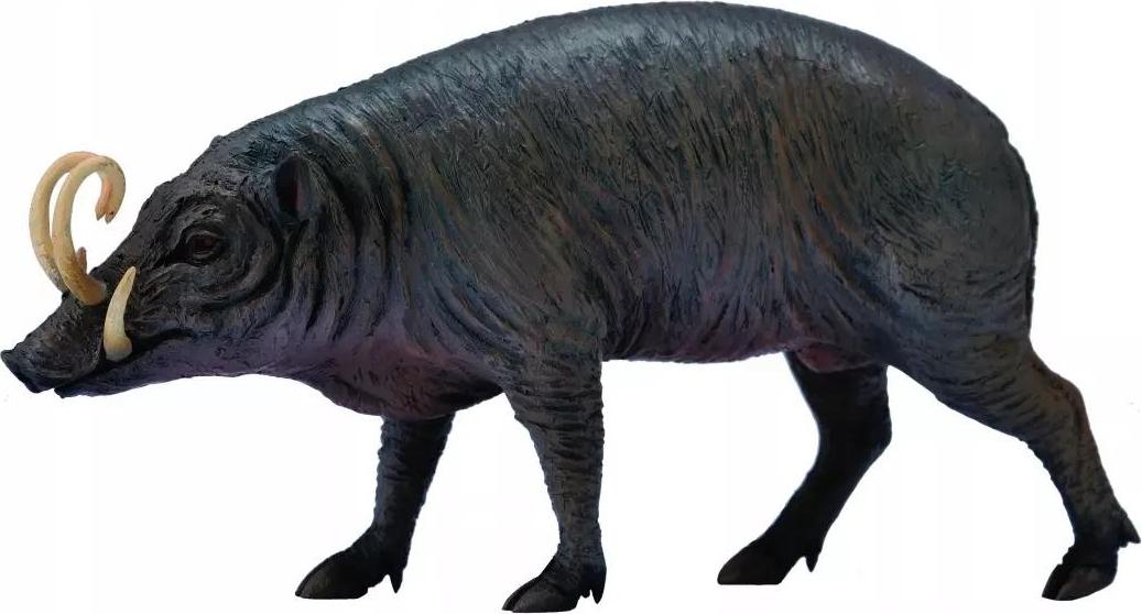 Collecta Schwein Sulawesi Babirusa L - Tierfigur