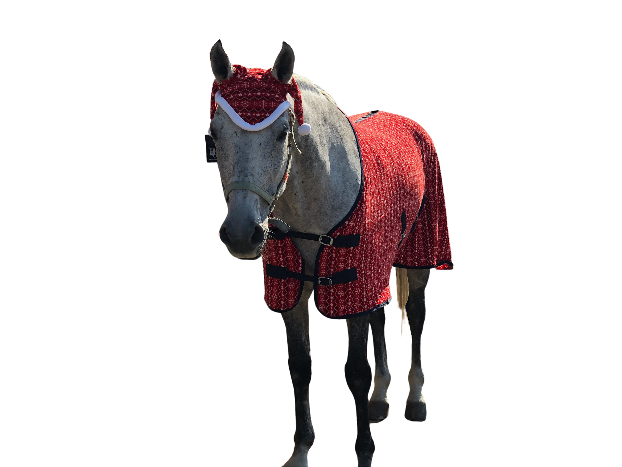 Horse Guard Christmas Santa Horse Reitmütze Weihnachtsoutfit rot Reiter Pferd 