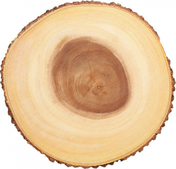 Servierplatte Artesà rustikal de Holz de Akazie, Serviertablett/-brett de Käse de Holz mit Rand de Rinde, Schneidebrett de rund, Ø 30 cm, braun