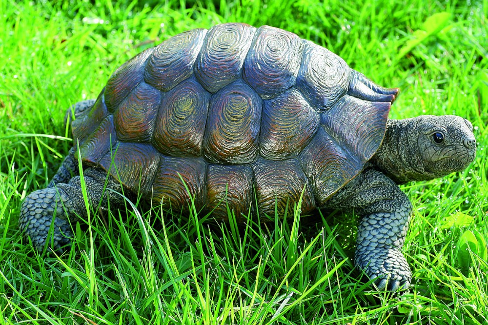 Dekofigur Schildkröte Gartenfigur Tierfigur Landschildkröte Gartendeko 