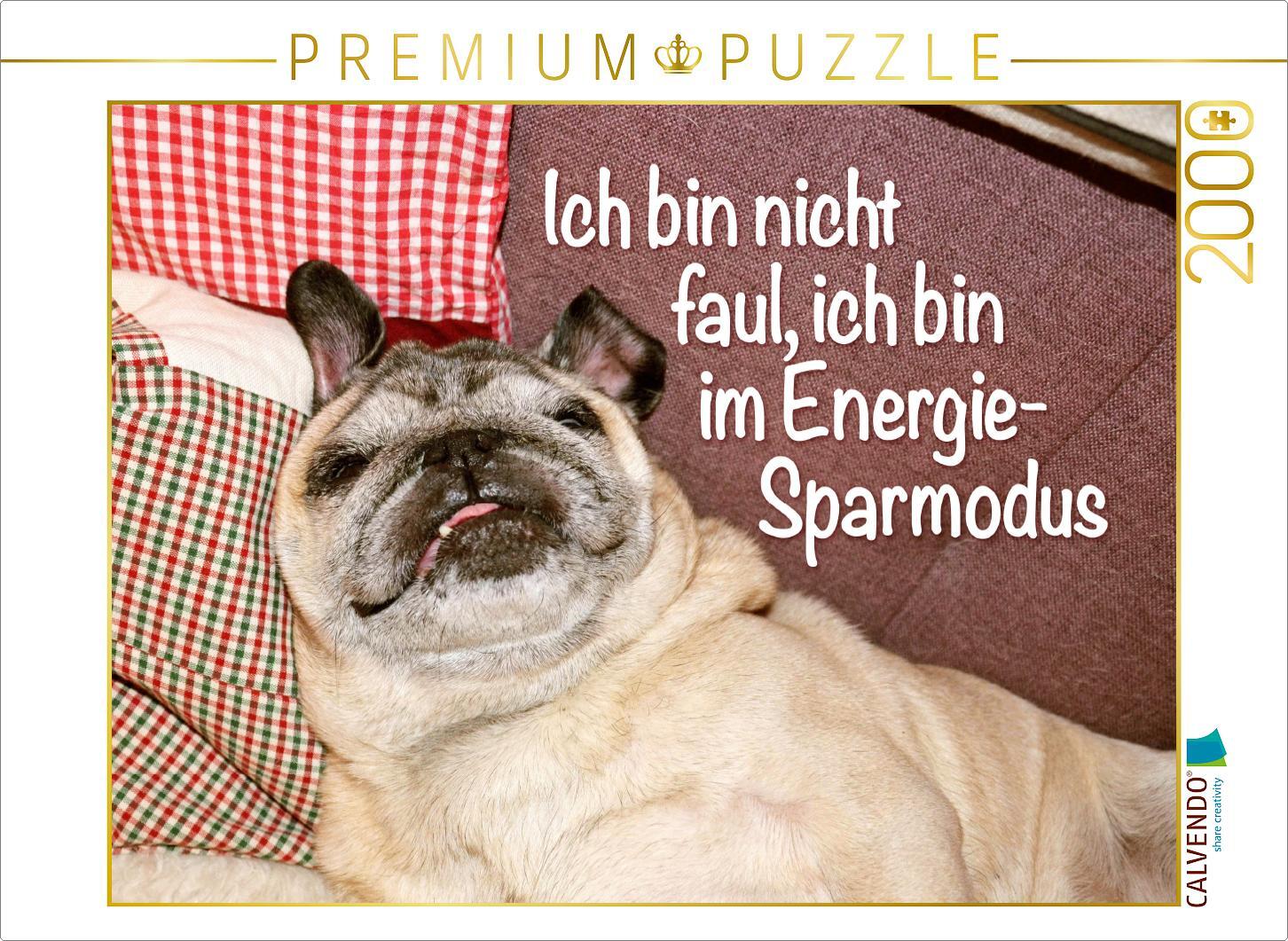 CALVENDO Puzzle Ich bin nicht faul, ich bin im Energie-Sparmodus. | 2000 Teile Lege-Größe 90x67cm Foto-Puzzle für glückliche Stunden