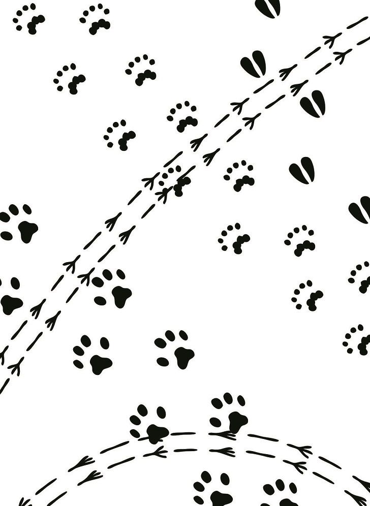 Darice Embossing-Prägeschablone animal tracks 14,6x10,8cm 1218-114