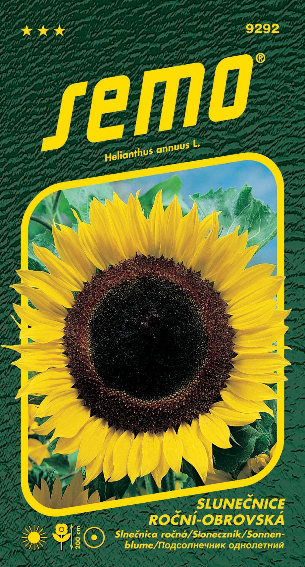 Semo Samen Sonnenblume jährlich - Riese 2g