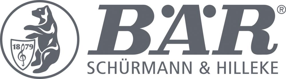 BÄR Schürmann & Hilleke Stahlnagel blank 2,0x 25 Linsenkopf BÄR