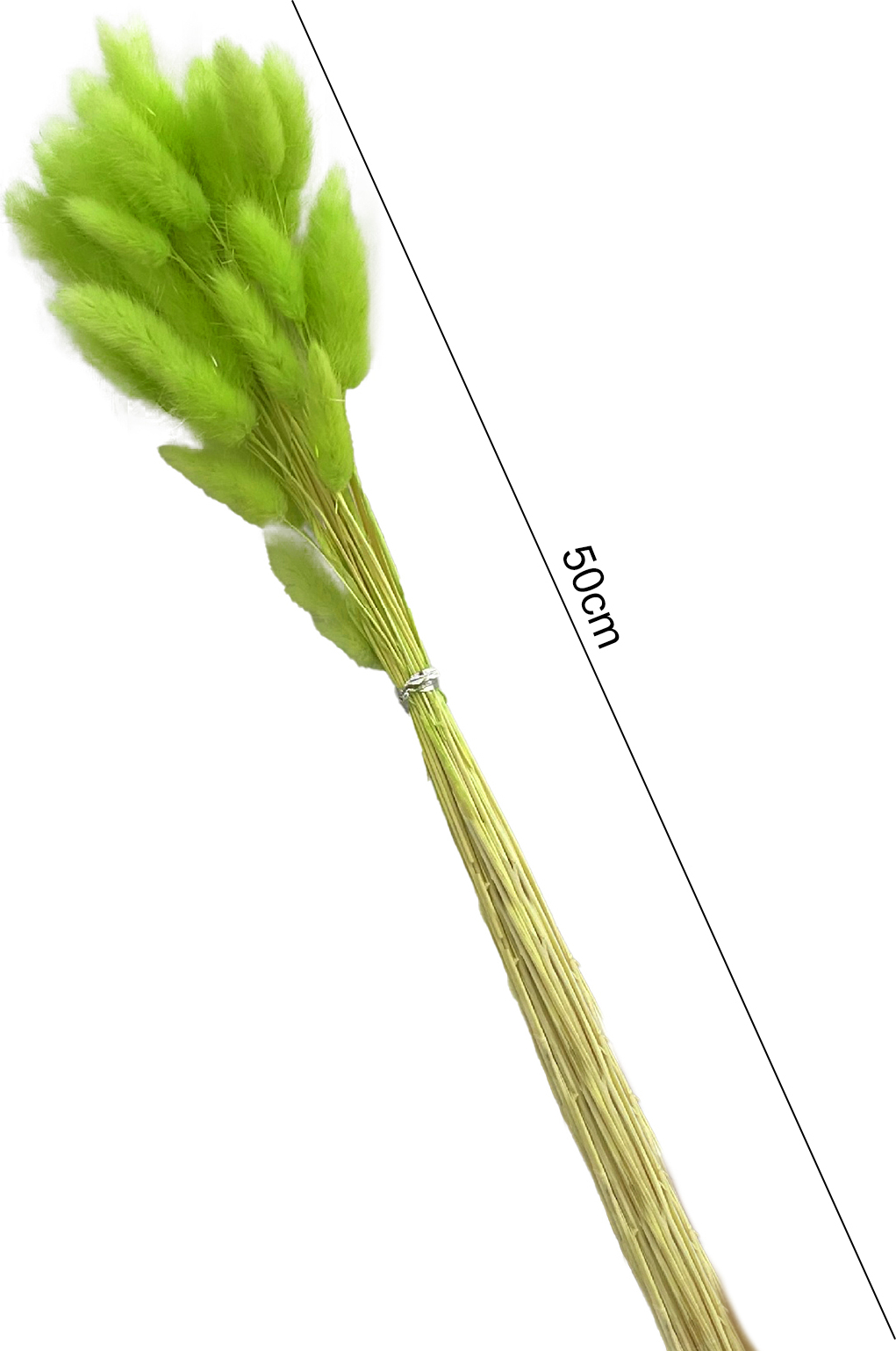 Stuttg 1 Set Trockenblumenstrauß Romantische Osterfeier Hasenschwanz Haushaltsprodukte 3341701