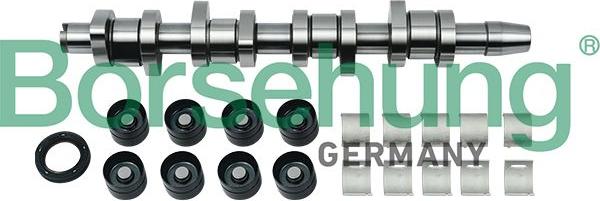 Borsehung B18664 Nockenwellensatz OE 038103085C kompatibel mit Arosa, Cordoba, Altea XL, Altea, Alhambra, TT, A8 4D, A6 4F, A6 4B, A6 4A, A4 8H, A4 8E, A4 8D, A3 8P, A3 8L, A2, A1 8X, Bora, Caddy, Exeo, Ibiza, Leon, Toledo, Fabia, Octavia, Rapid, Roomster, Superb, Yeti, Beetle, Passat 3C, Crafter, EOS, Fox, Golf III, Golf IV, Golf Plus, Golf Sportsvan, Golf V, Golf VI, Golf VII, Jetta, Lupo, New Beetle, Passat 35I, Passat 3B, Passat CC, Phaeton, Polo 6N, Polo 9N, Polo 6V, Polo 6R, Scirocco, Sharan, Tiguan,