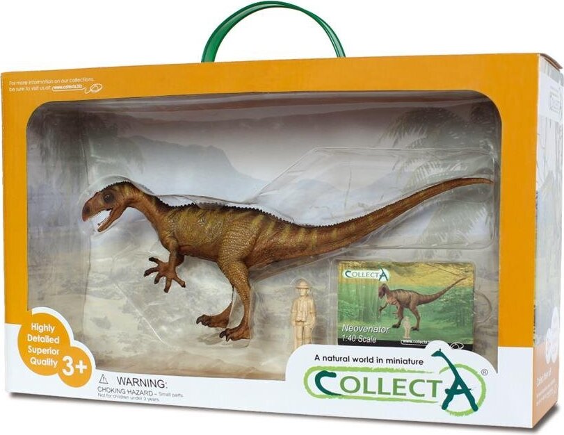 COLLECTA Geschenkset - Vorgeschichte 3389452