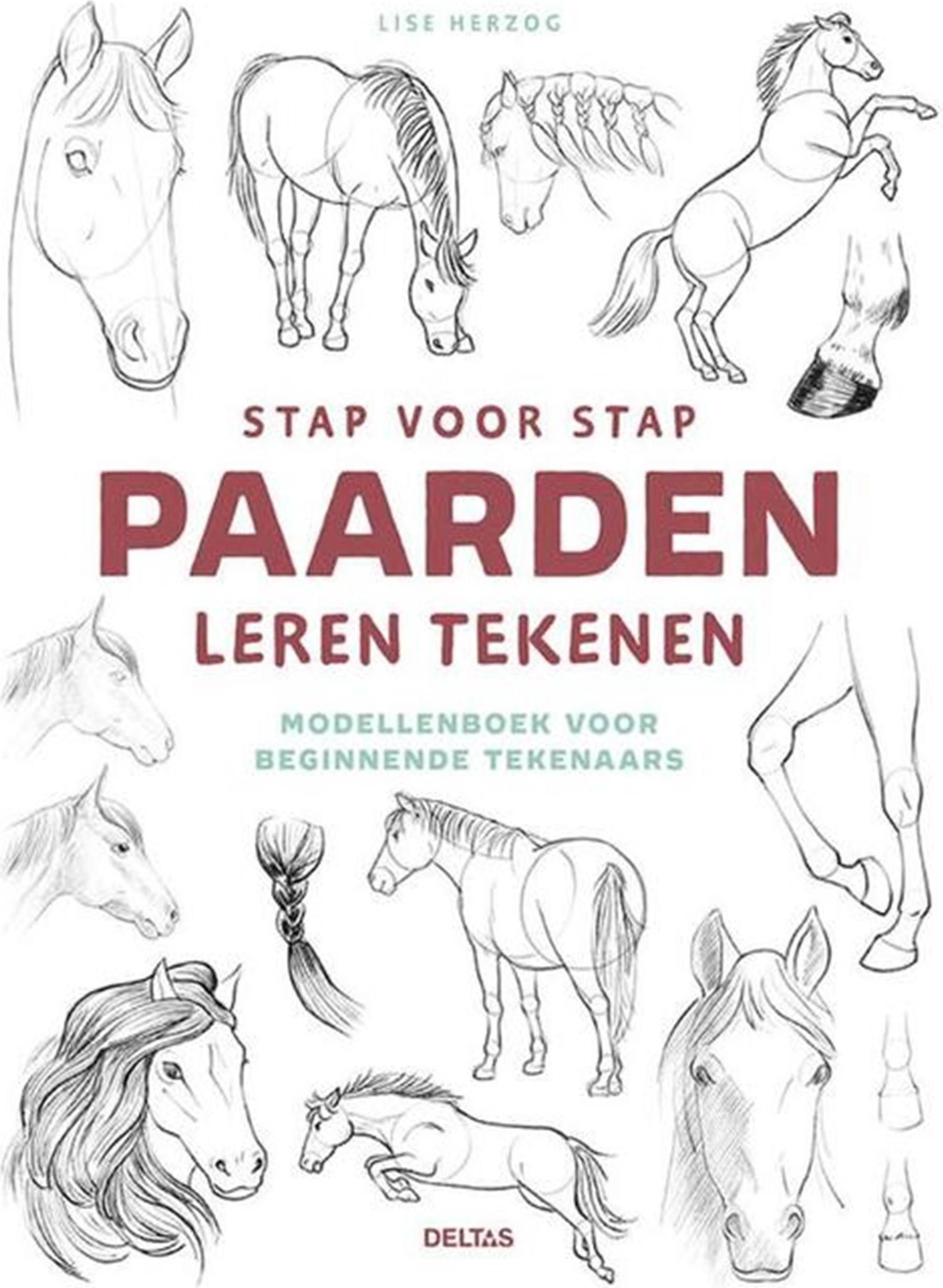 Deltas lernen, Pferde Schritt für Schritt zu zeichnen 0101947