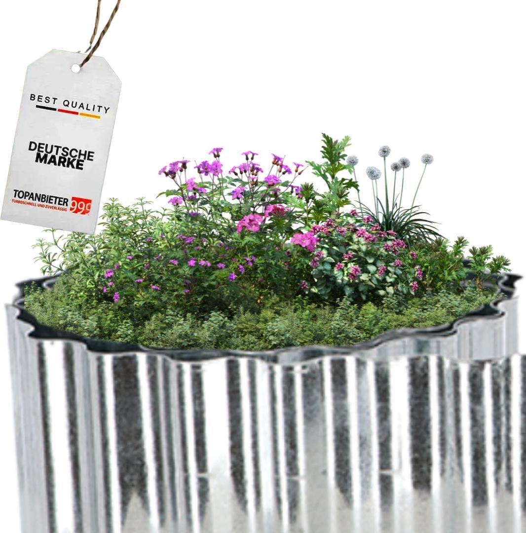 Topanbieter999 TOPANBIETER 999 Rasenkante "Schnörkel" Beeteinfassung aufgerollt Rasenbegrenzung PS24