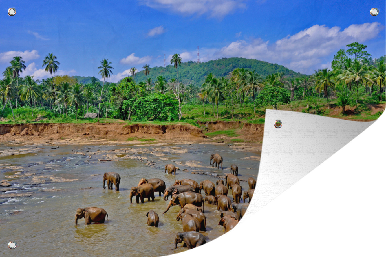 MuchoWow® 60x40 cm Outdoor-Poster Gartendeko Sichtschutz Garten Poster für den Garten Eine Gruppe badender Elefanten am Ma Oya Bach in Pinnawala, Ceylon 133|1334221