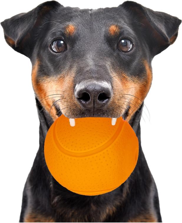 HappyPet Glow Balls - quietschender Ball happypet