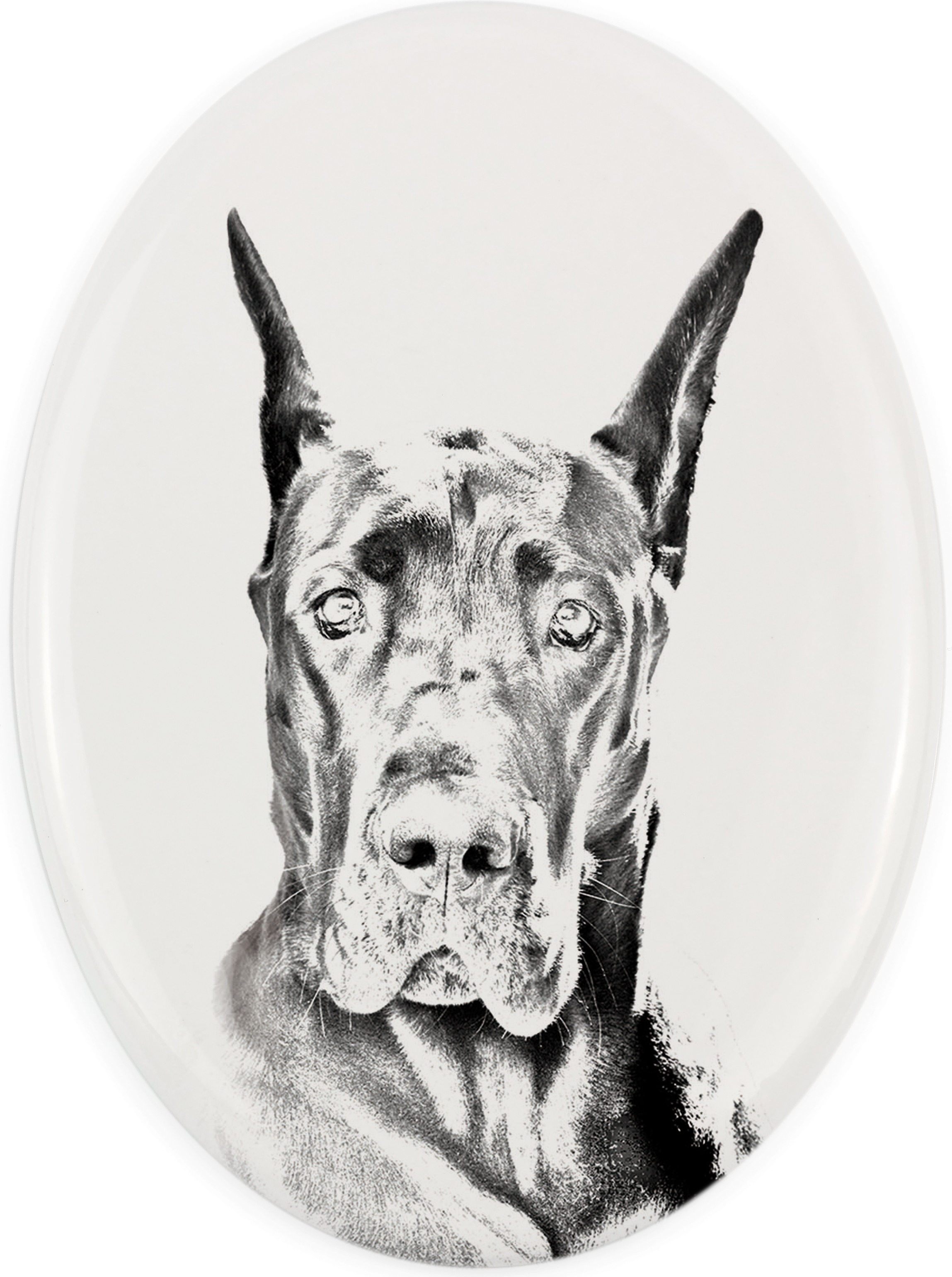 Deutsche Dogge, Ulmer Dogge, Große Dogge - Gedenktafel mit einem Foto eines Hundes, Grabplatte mit Druck, personalisierte ovale Platte der Marke Art-Dog