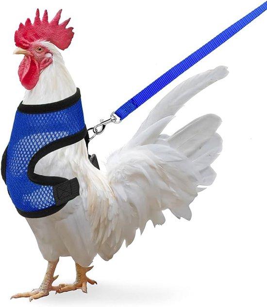 OEM Hühnerkippe mit Riemen, verstellbare Riemen für Hennen, Enten und Hunde (blauw, Größe M) 2026