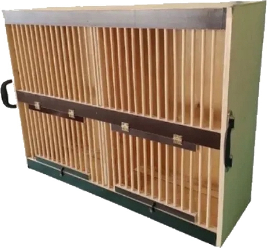 F&R Transportkorb Transportkiste Transportbox für Tauben Transportieren Tiere Tragegriff zwei Abteile 80 x 60cm