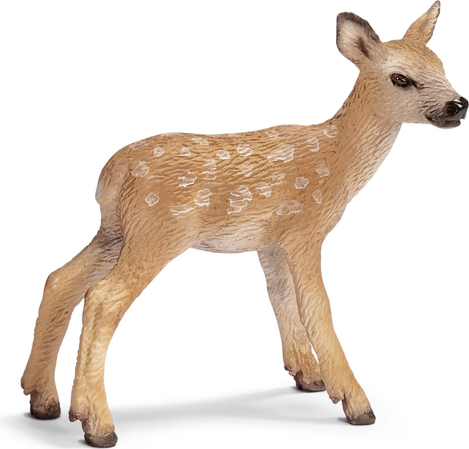 Schleich Wild Life Rothirschkalb, Braun, Beide Geschlechter 14629