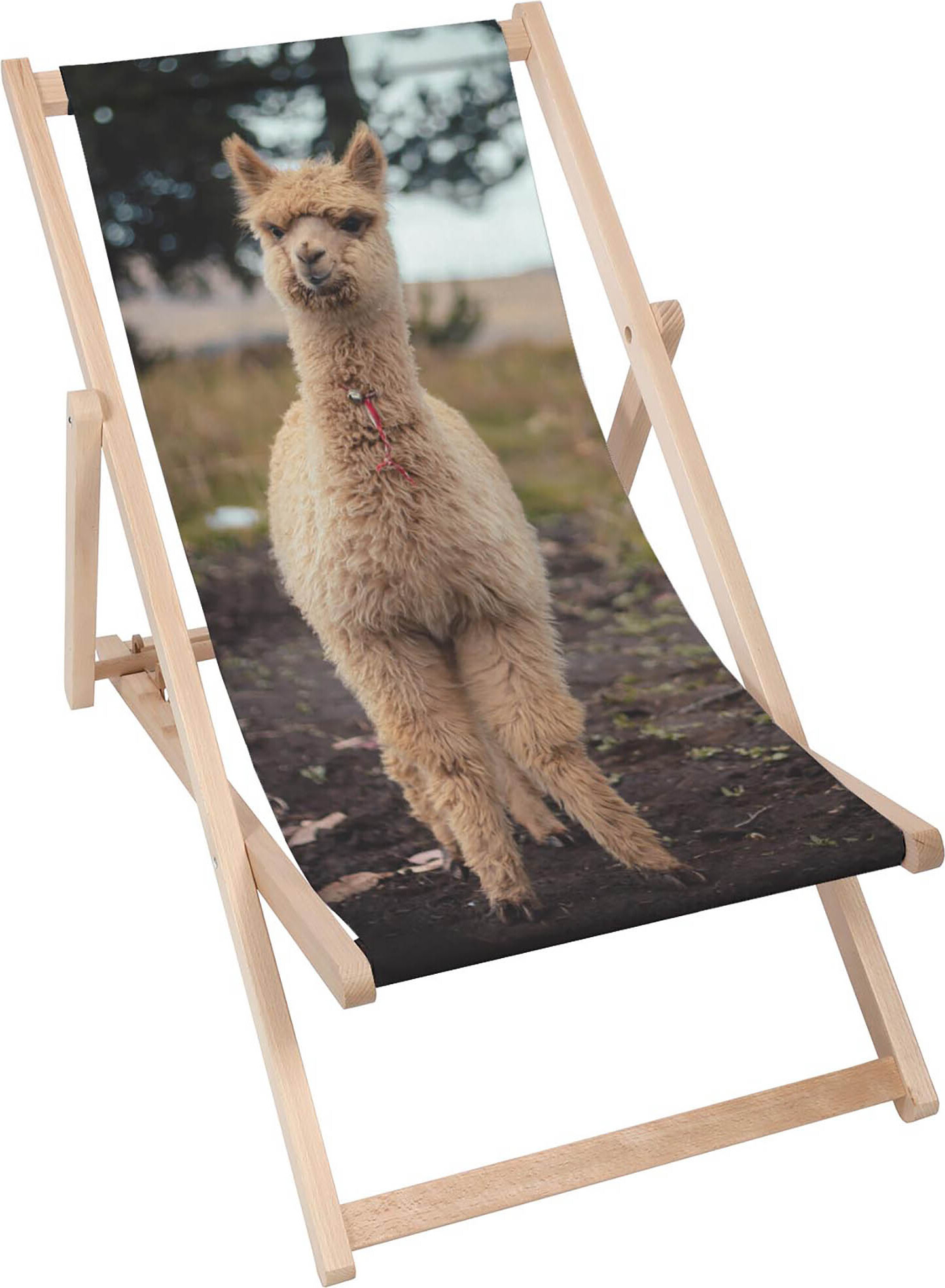 Dreamroots Skladacie drevené lehátko z bukového dreva do 130 kg, skladacie lehátko s 3-stupňovým nastavením sklonu operadla, Happy Alpaca