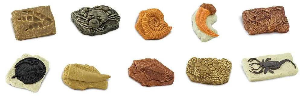 Safari Ltd Ancient Fossils TOOB, 3 Jahr(e), Ancient Fossils, Mehrfarbig 684804