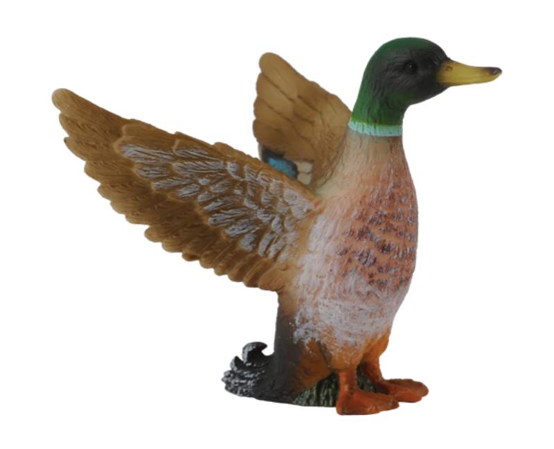 Mac Toys COLLECTA Kaica divá - káer Collecta 88378