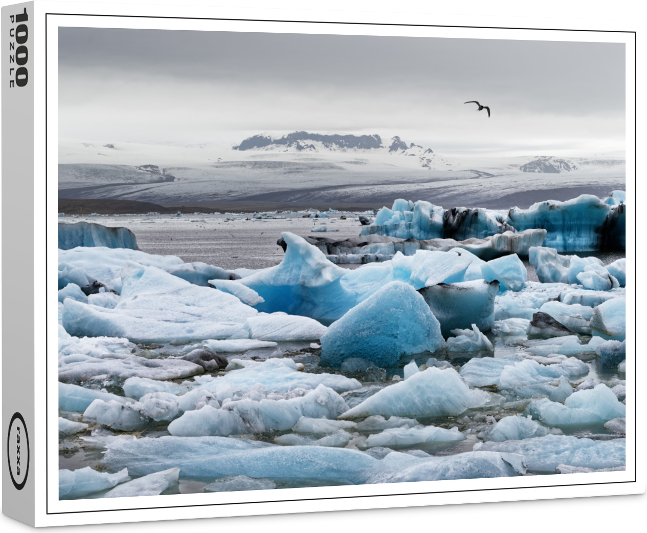 raxxa Premium-Puzzle "Eisformationen", 1000 Teile 1-14270-6800-218