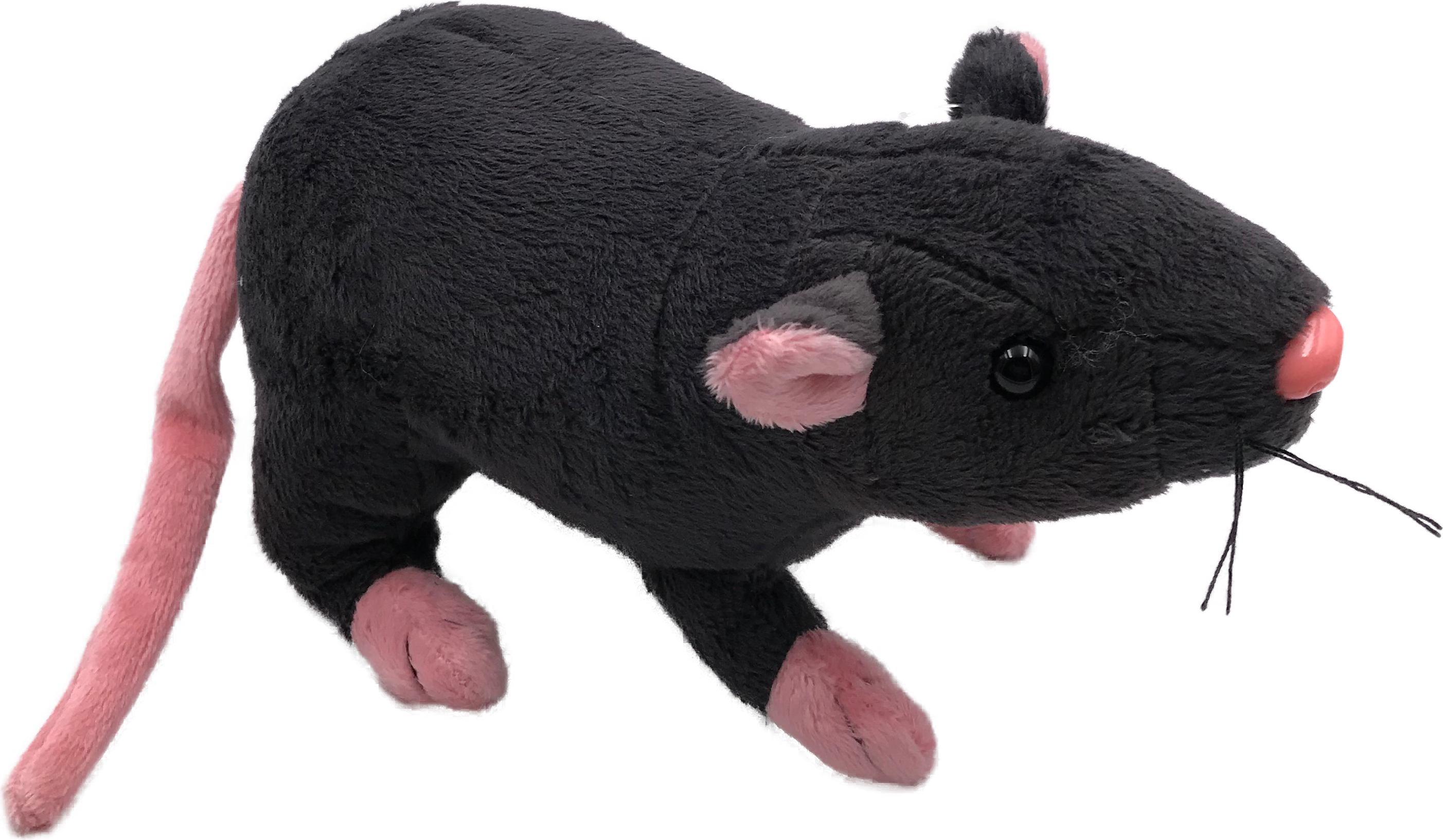 Jouet Forêt Prairie Peluche Mygale Araignée Noir - 20 Cm, Tissu