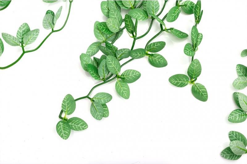 Repti-Zoo visiaca rastlina 40cm - Fitónia Repti-Zoo