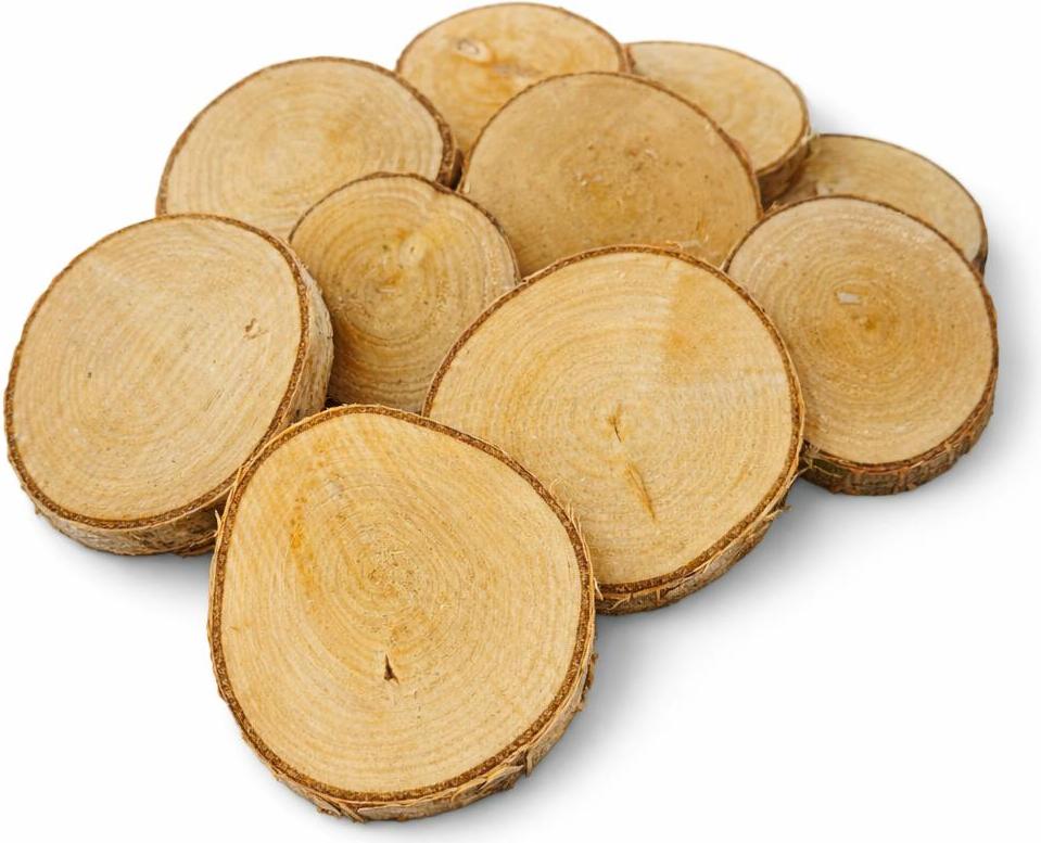 Akademia Drewna Holzscheibe 8-10 / 1 cm Birke ungeschliffen Set 10 Stück
