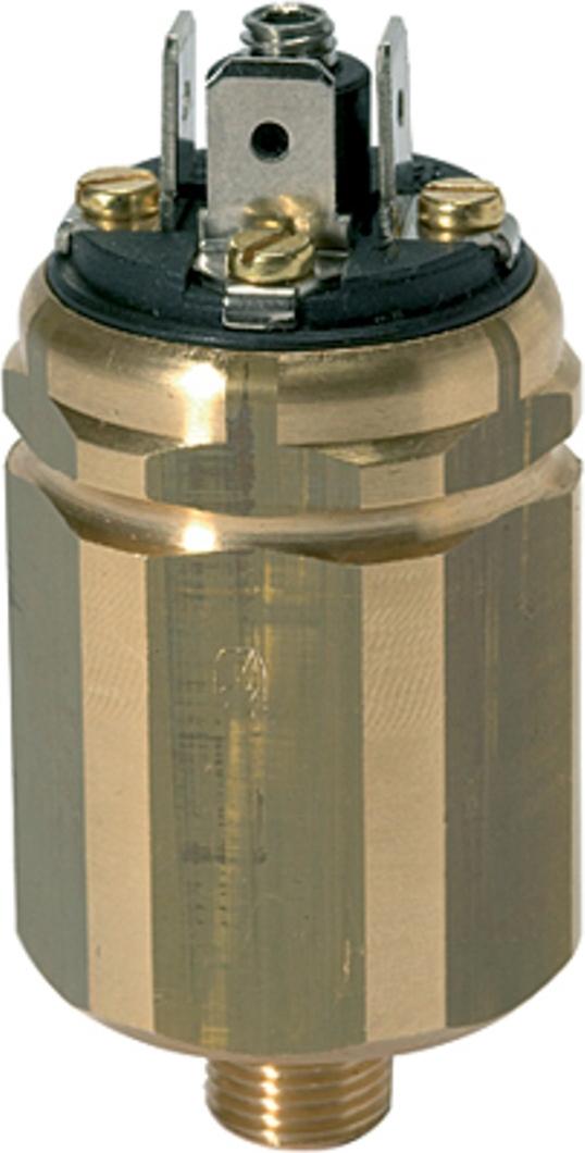 Riegler Vakuum-Druckschalter, MS, Wechselkontakt, G 1/8, 20 - 800 mbar DS 3001