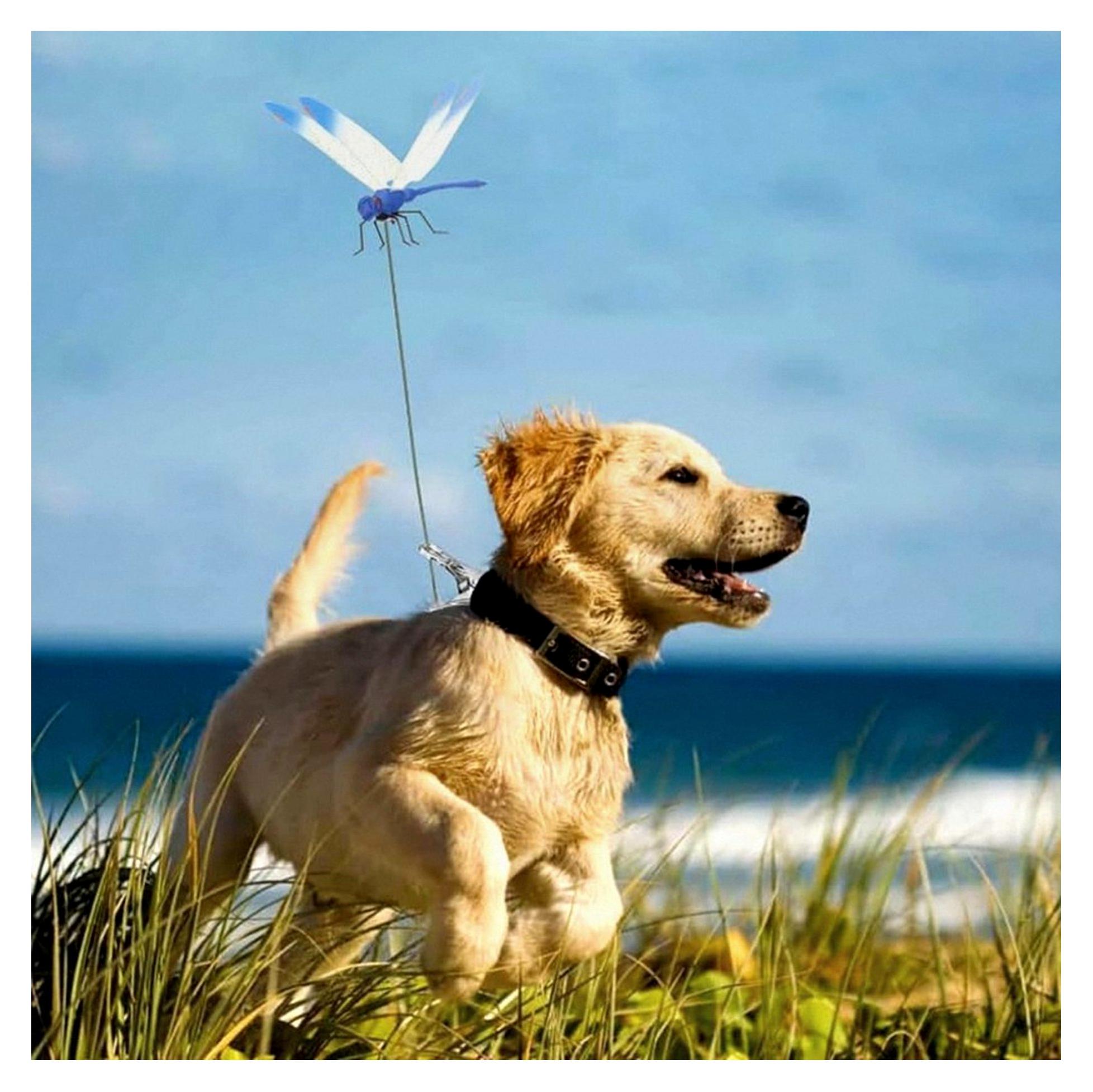 Markenlos 6 Stück Gartenlibellen 3D-Libelle Gartendekoration Künstliche Libellen-Clips für den Außenbereich