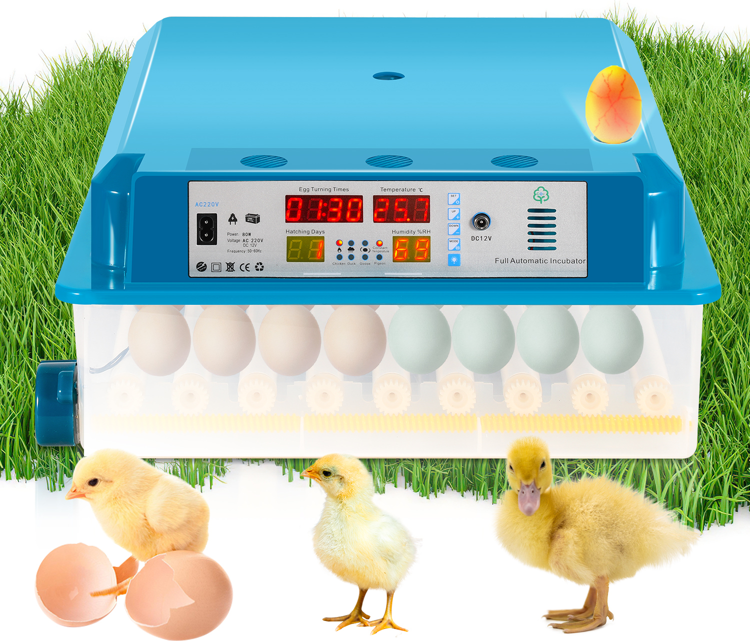 Fiqops Faziango 64 Egg Fully Automatic Incubator – Egg Turner, Precise Temperature & Humidity Control, LED Candling Light RL-HG9813-1-FL