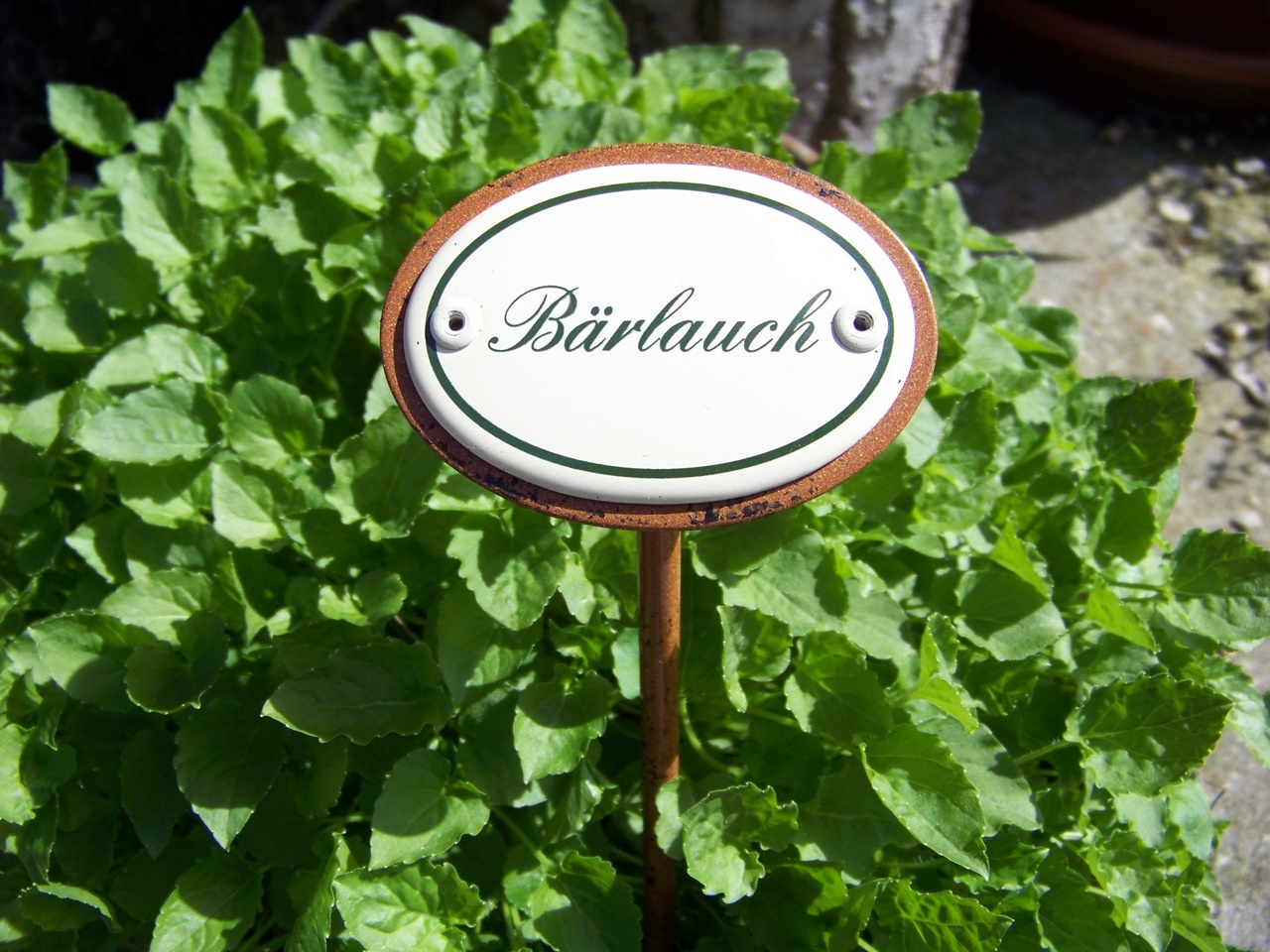 Münder Email Kräuternamenschild Bärlauch